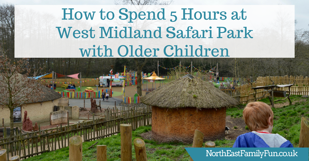 How to Spend 5 Hours at West Midland Safari Park with Older Children North East Family Fun