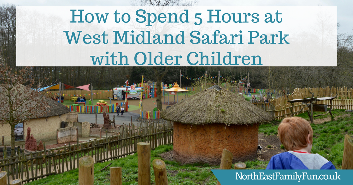 How to Spend 5 Hours at West Midland Safari Park with Older Children