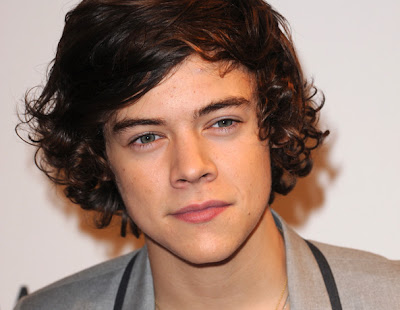 HARRY STYLES MESSY WAVE HAIR