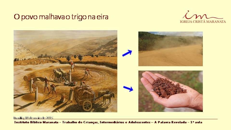 FLORZINHA DO JARDIM DE DEUS.