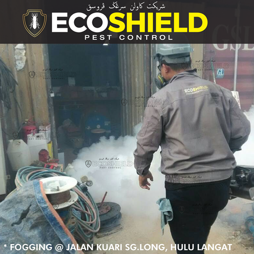 Eco Shield Pest Control Malaysia - Fogging