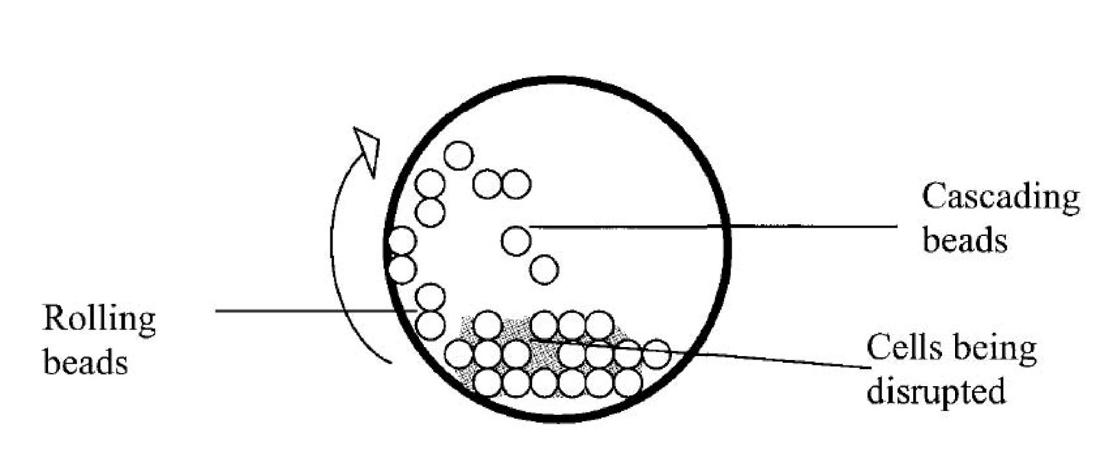 My Scientific Blog Research and Articles CELL DISRUPTION