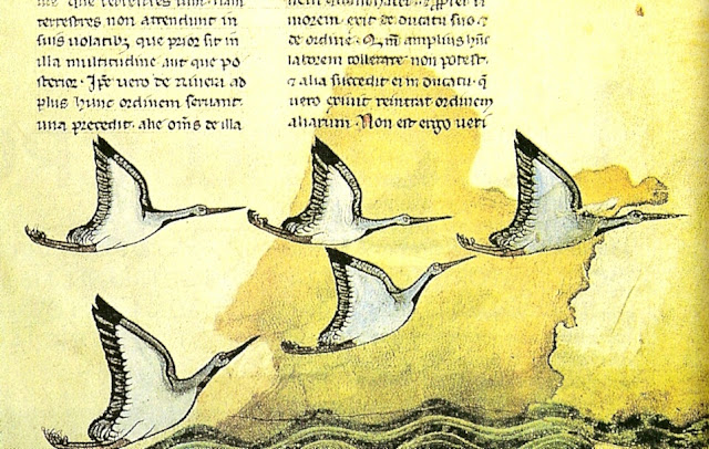 Illustration from Frederick's book "On The Art of Hunting with Birds"