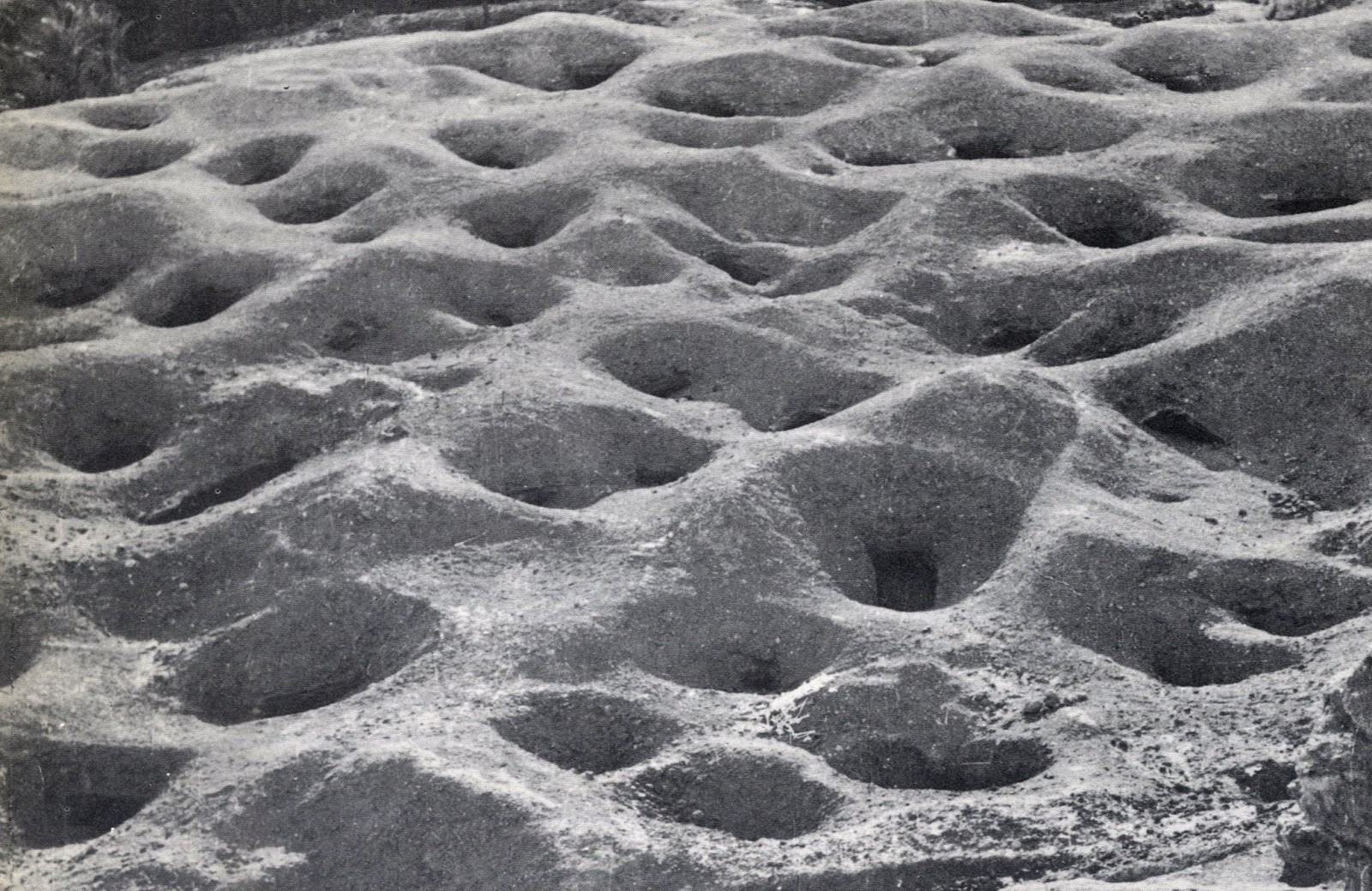 Architecture Villa Image Architecture Without Architects