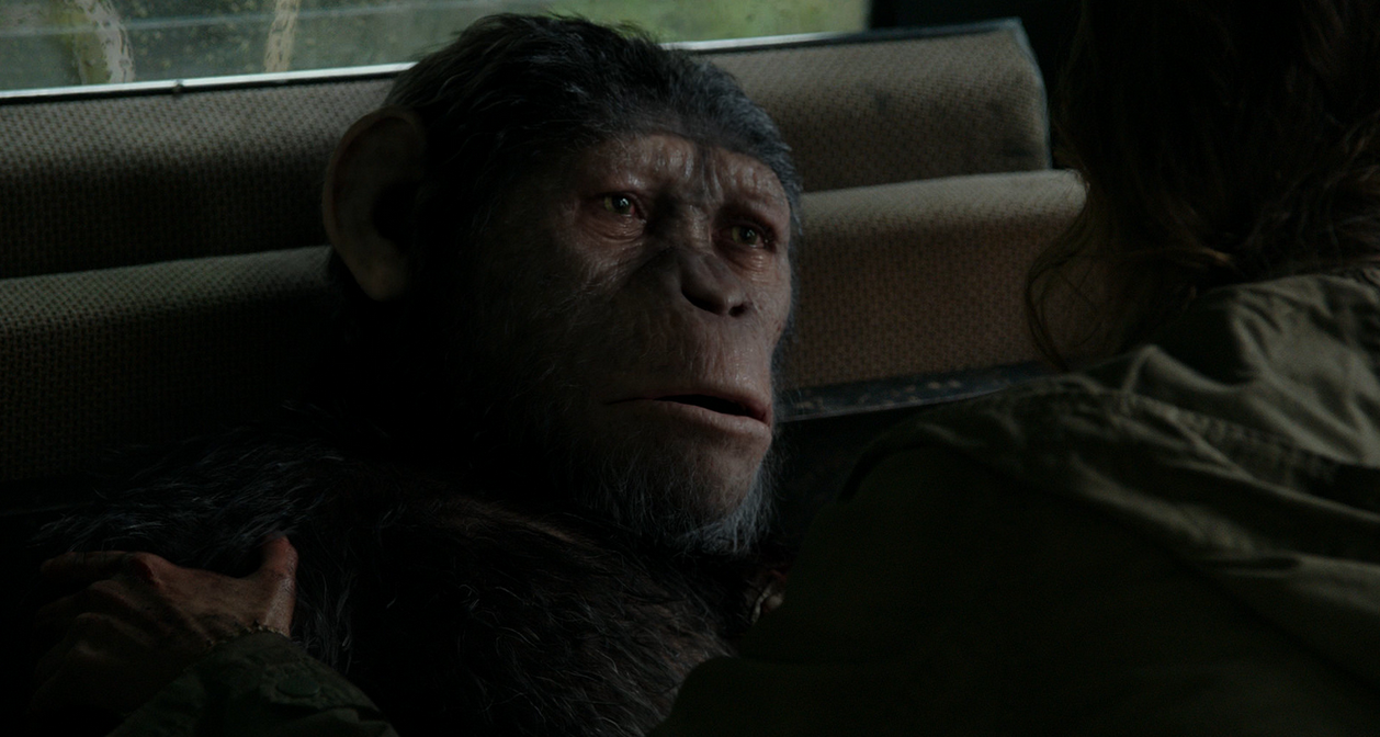 Archives Of The Apes Dawn Of The Of The Apes (2014