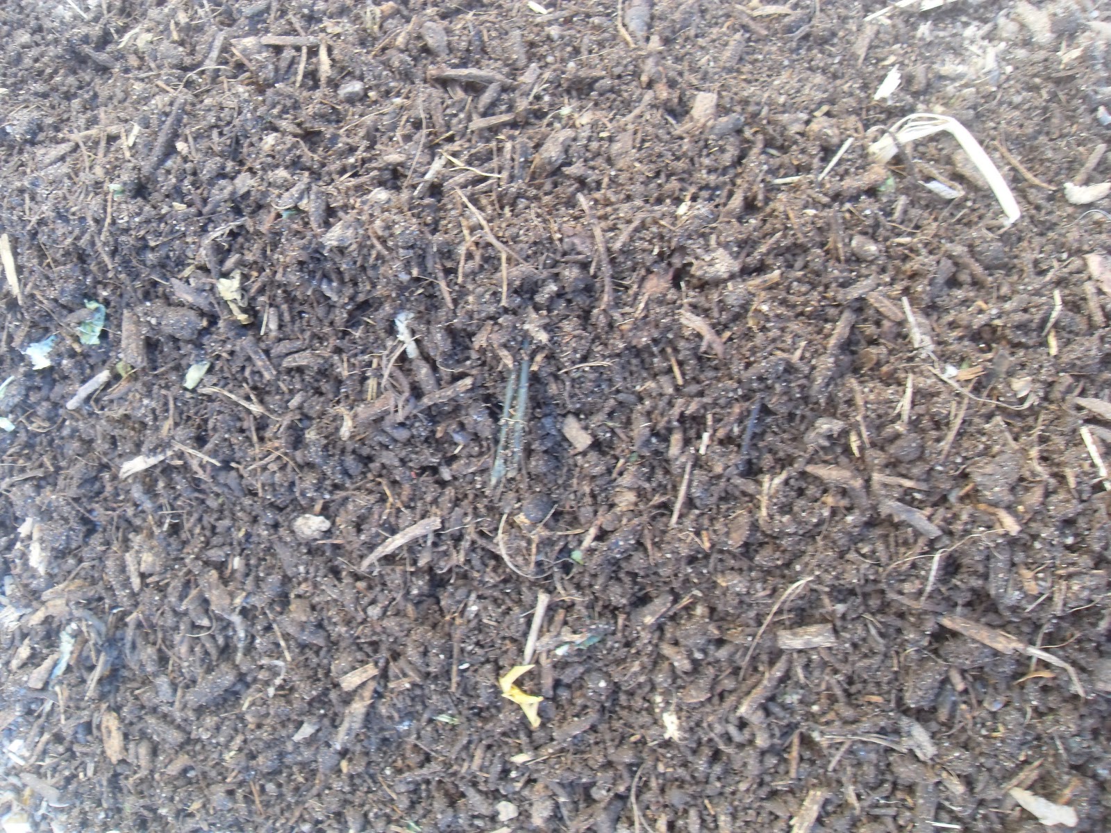 The Scientific Gardener Composting with Grubs