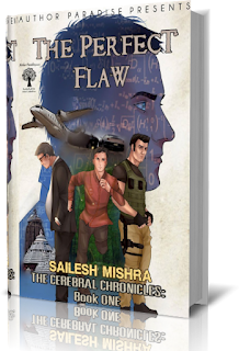 The Perfect Flaws