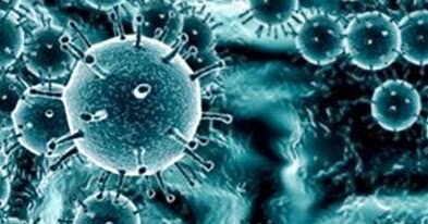 Penjelasan Tentang Virus Yang Menguntungkan Dan Merugikan Perpustakaan Ilmu Pengetahuan