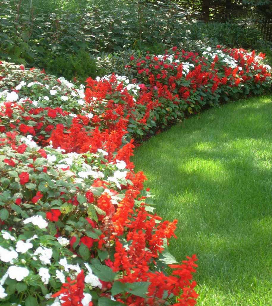 investasi rumah: rumah yang indah penuh taman bunga