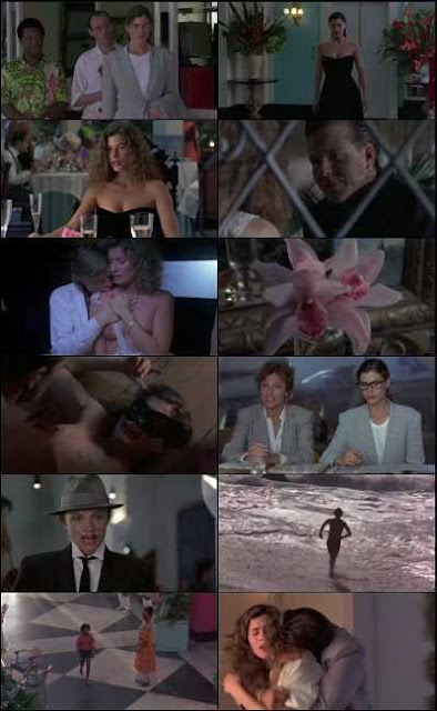 18+ Wild Orchid (1989) 300mb Dual Audio Hindi BluRay