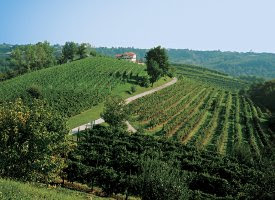 Azienda Agricola “Tenuta Val De Brun” di Refrontolo