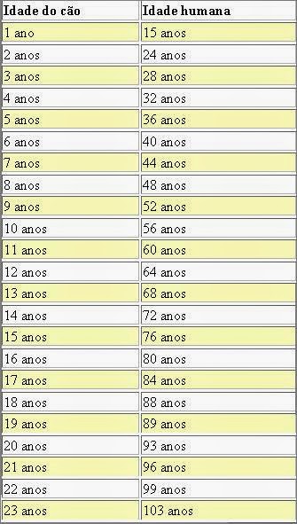 Idade verdadeira dos cachorros Clearance
