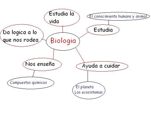 Flaco Loco: Mapa mental sobre .