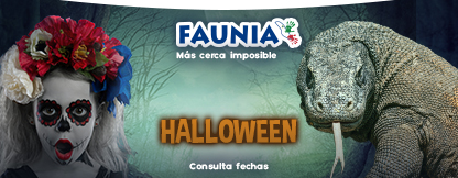 Parqueplaza Net Octubre 2019