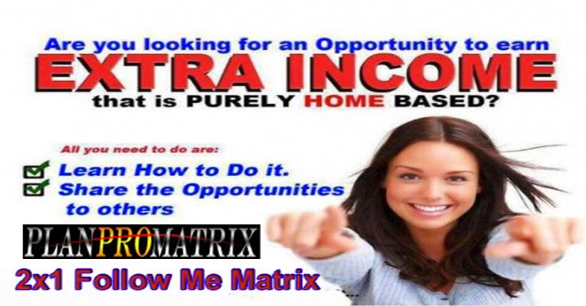 plan pro matrix follow me matrix unlimited income