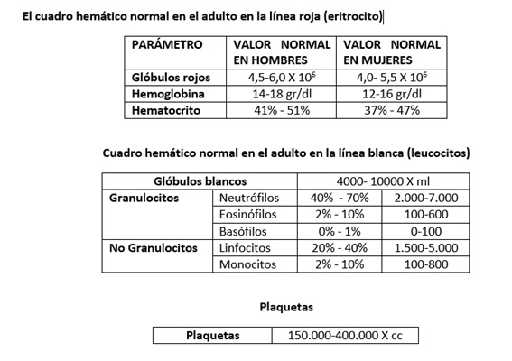 Hemoglobina valores normales en adultos