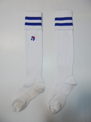 左側側面全体像