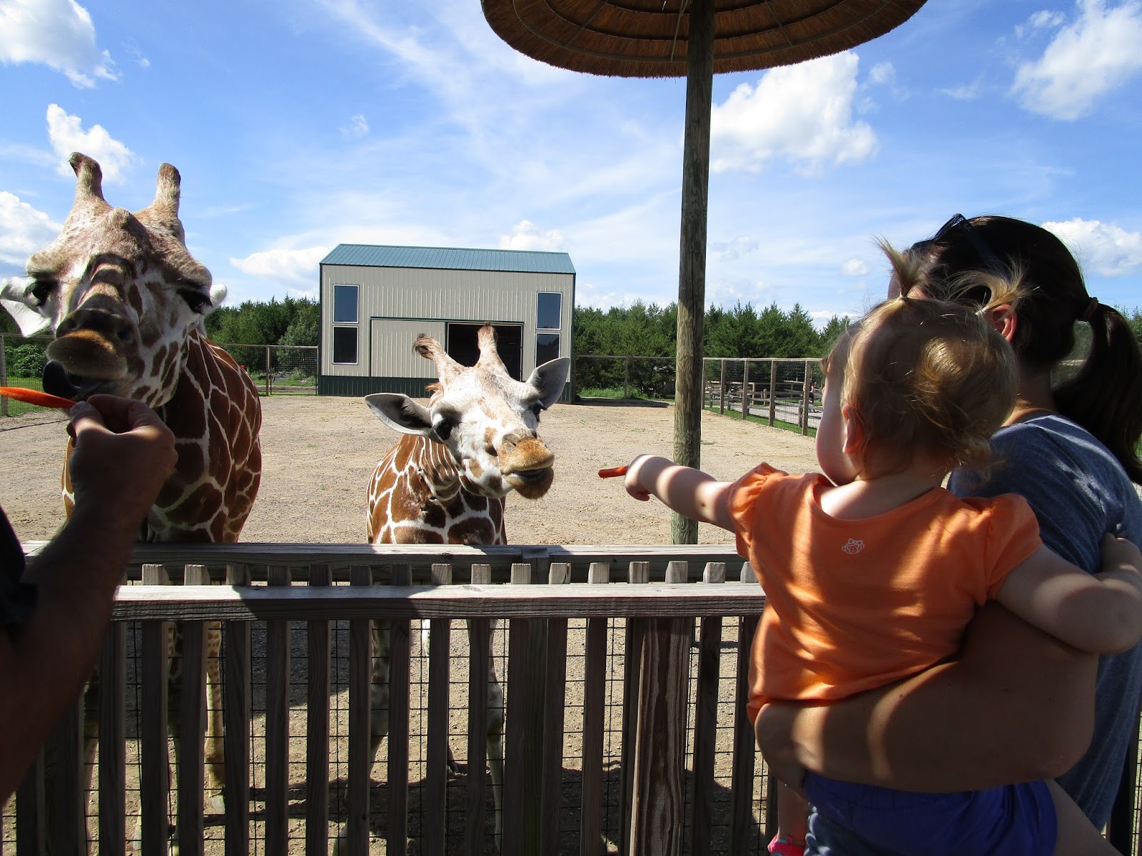 Things I Think I Think: Safari North Wildlife Park