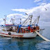 EU fishing fleet increasingly profitable and fuel efficient