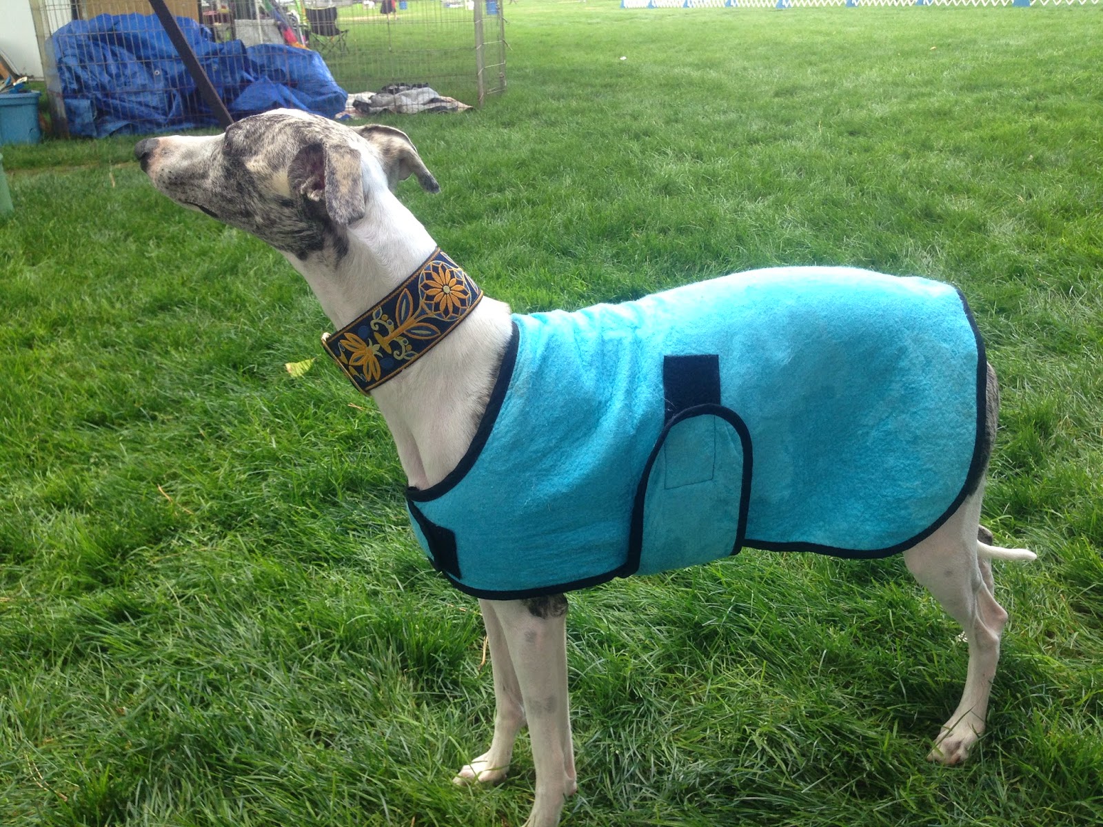 Coats Made by De, Catching Up With the Latest News 5 Ways to Keep Your