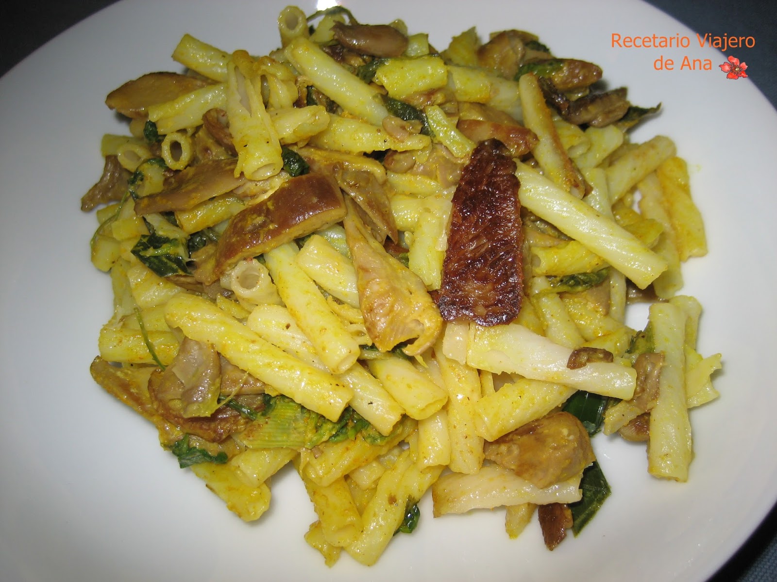 Recetario Viajero de Ana Pasta de quinoa y arroz en salsa de setas con