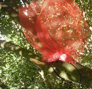 fullyminds: Eylül 2012