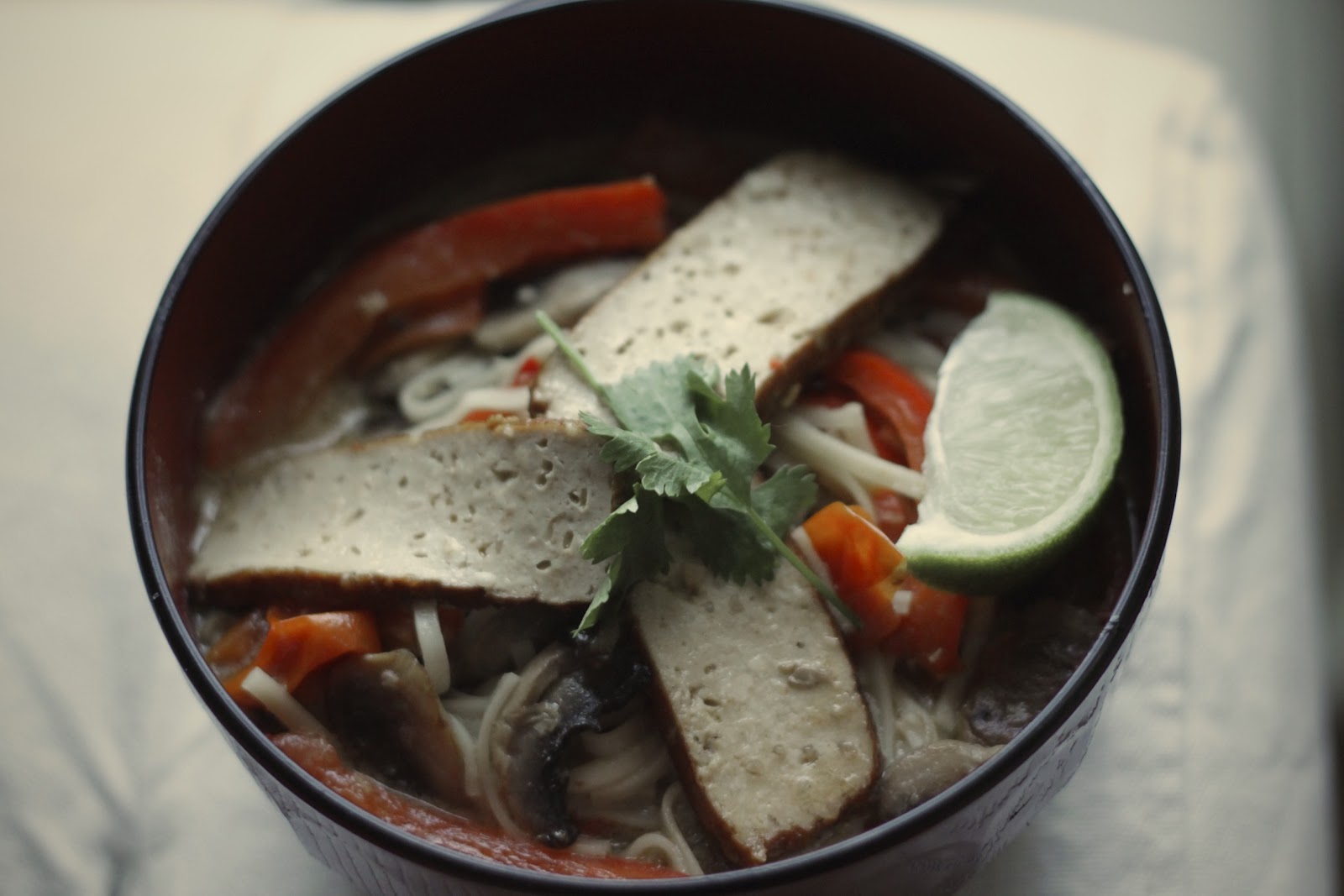 fresh and kind thai tofu noodle soup