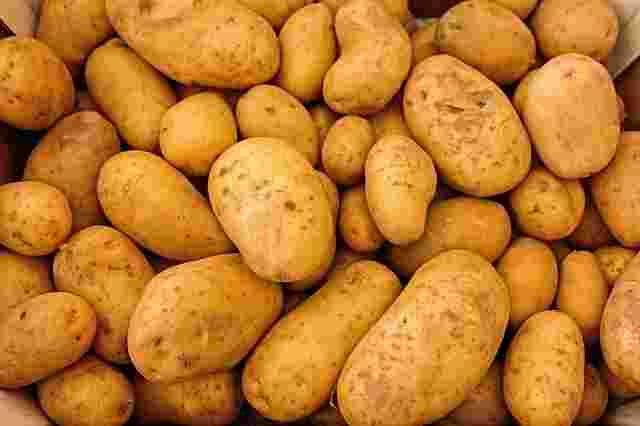 Zekayı geliştiren besinler (Patates)