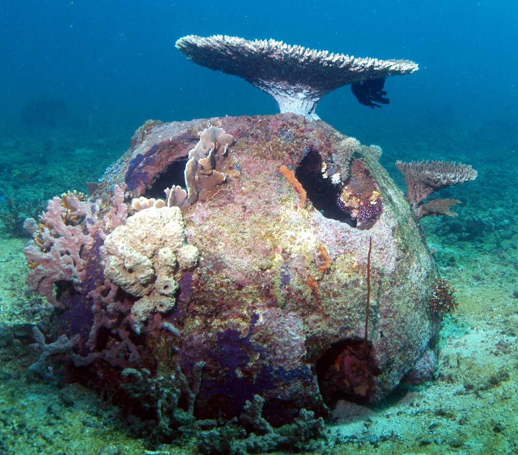 Create Underwater Life Elemental Solutions