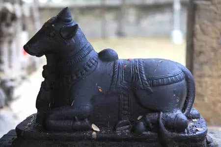 நந்தி Nandi Bull