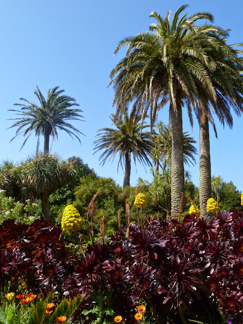 Abbey Gardens positively tropical Abbey Gardens positively tropical