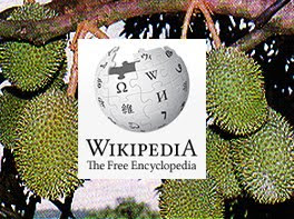 Durian - Wikipedia