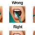 You’ve Been Brushing Your Teeth Wrong This Entire Time