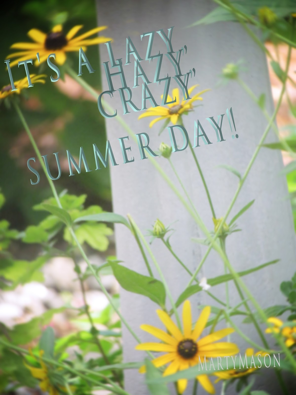 Marty's Fiber Musings Roll out those