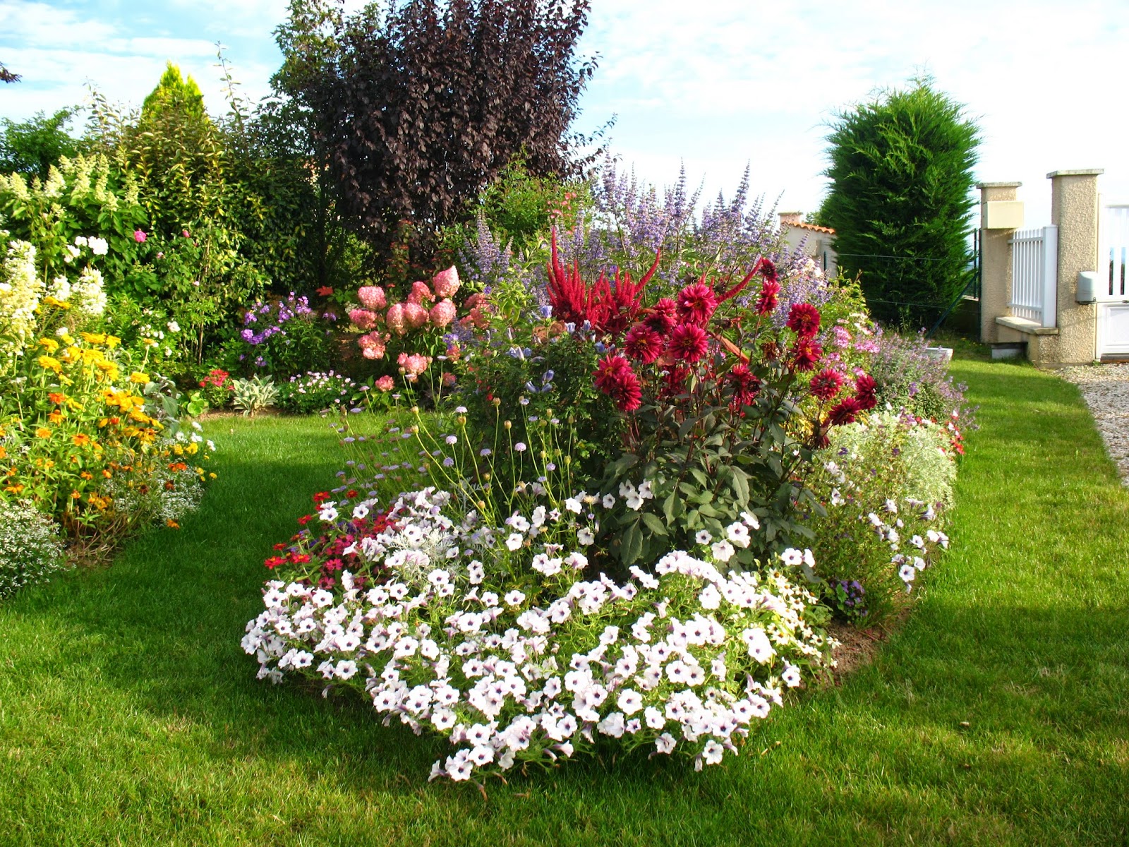 Roses Du Jardin Cheneland