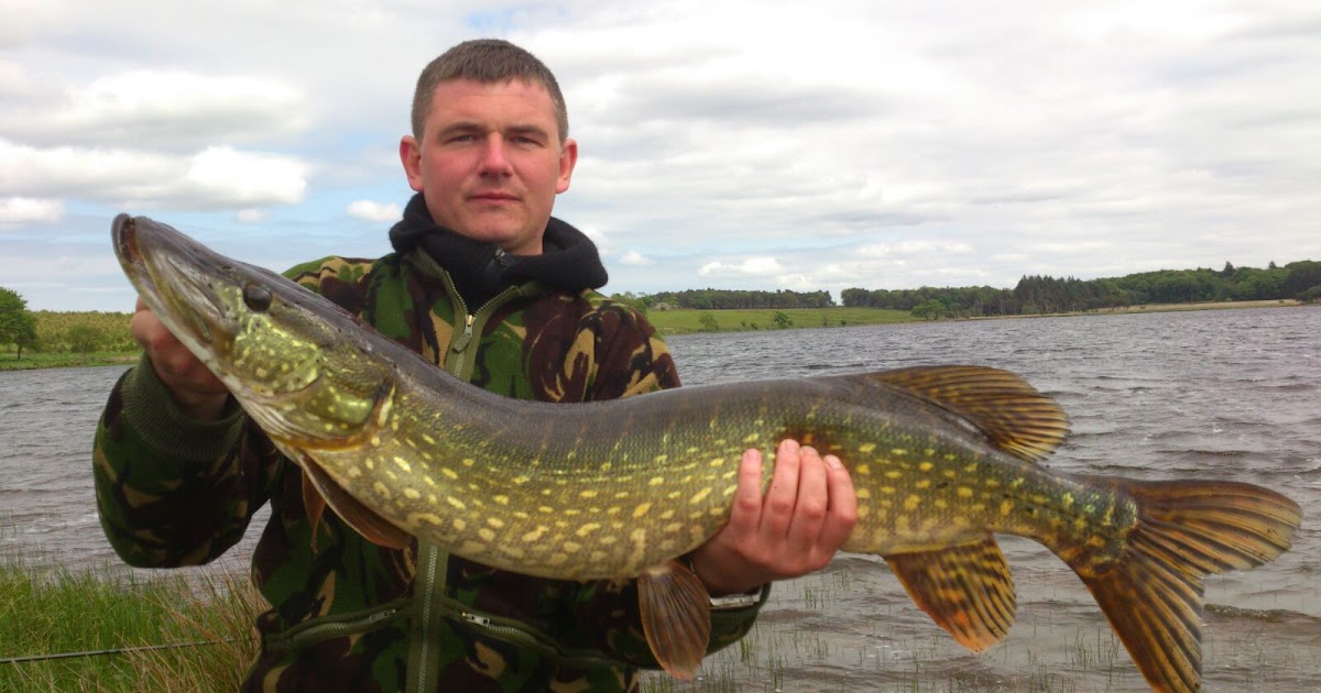 Fishingmegastore Fish of the Month Entry February 2017 Hillend Pike!