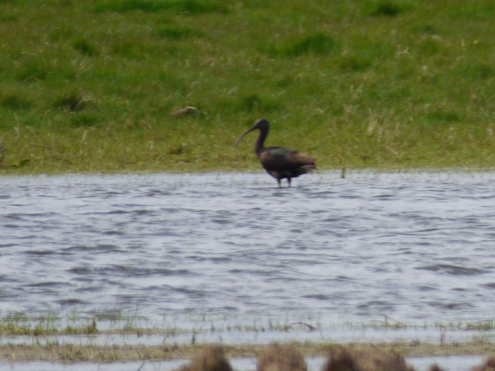 Druridge Bay N'umberland 01/05/18