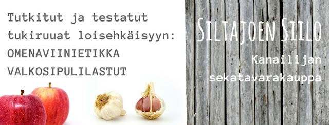 http://siltajoensirkus.mycashflow.fi/