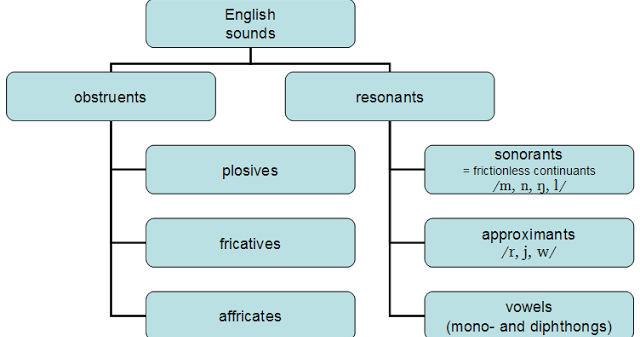 sonority hierarchy example sonority hierarchy example