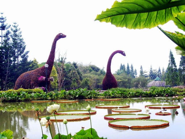 Tempat Wisata Di Bandung Taman Bunga Nusantara Cianjur Tempat Wisata Di Bandung Taman Bunga Nusantara Cianjur