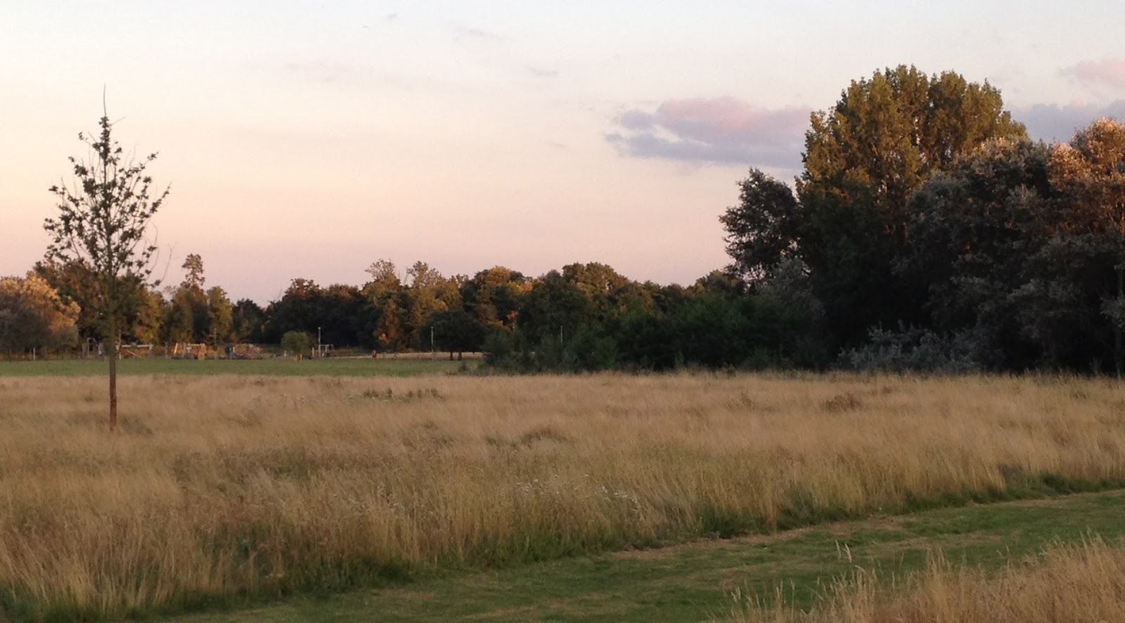 if i thought you were listening,