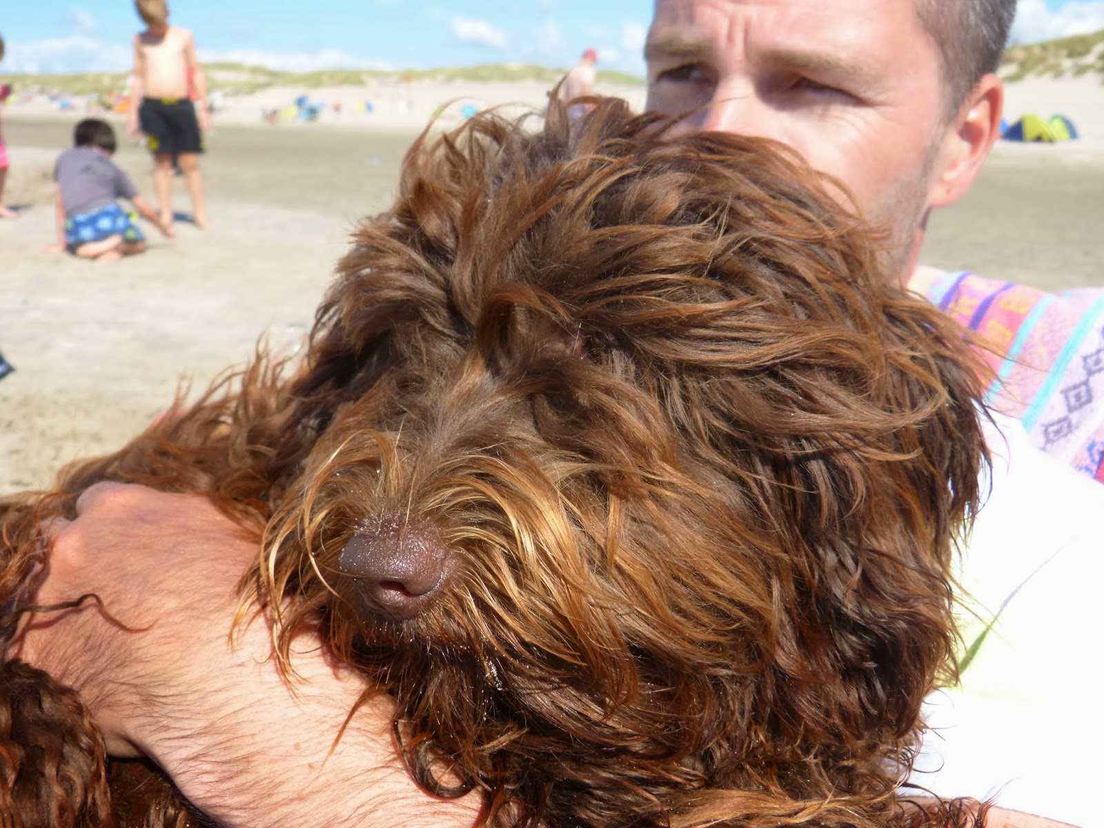 Unser Leben mit&hellip; Australian Labradoodle der Familienhund
