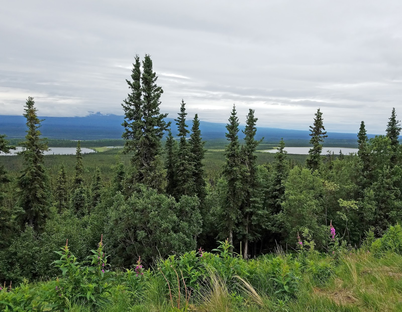 Alaska or Bust Revisited Kenny Lake to Tok, AK (7/10/2017)