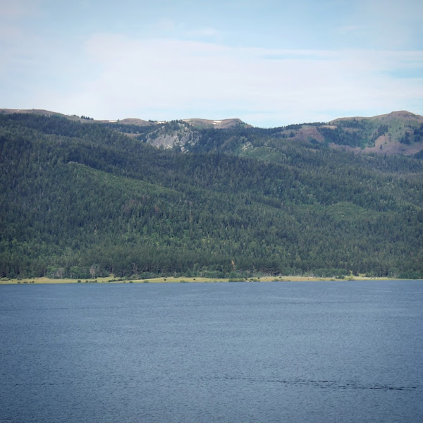 Father's Day Campout