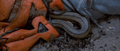 HALLOWEEN%2B24.gif