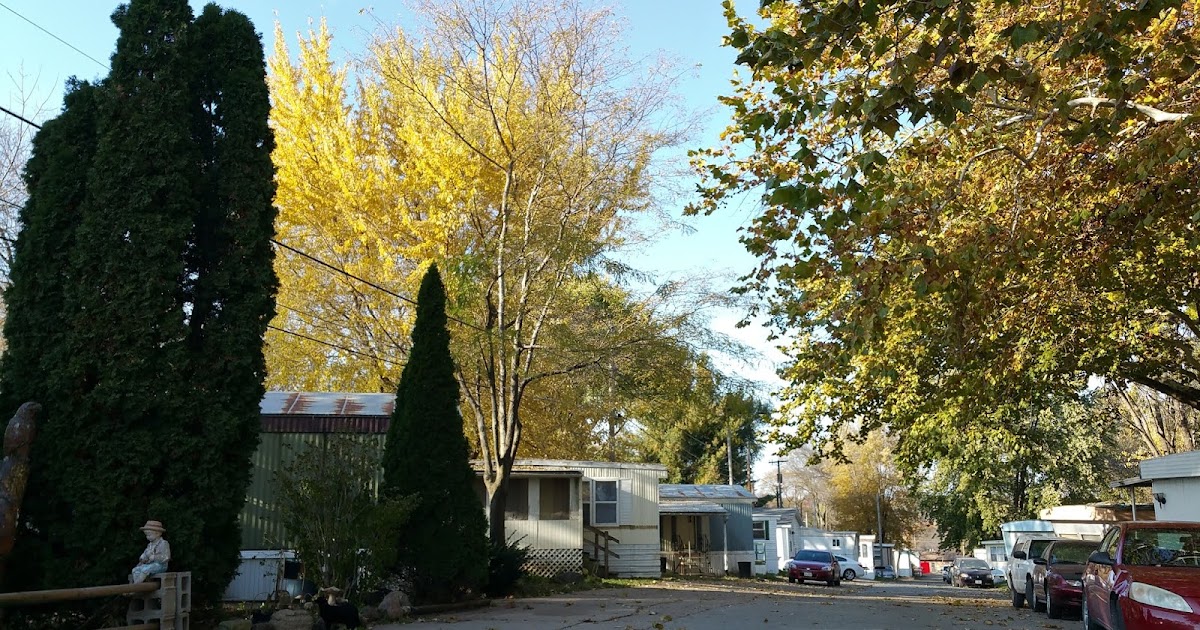 Edgewood Forest Mobile Home Park