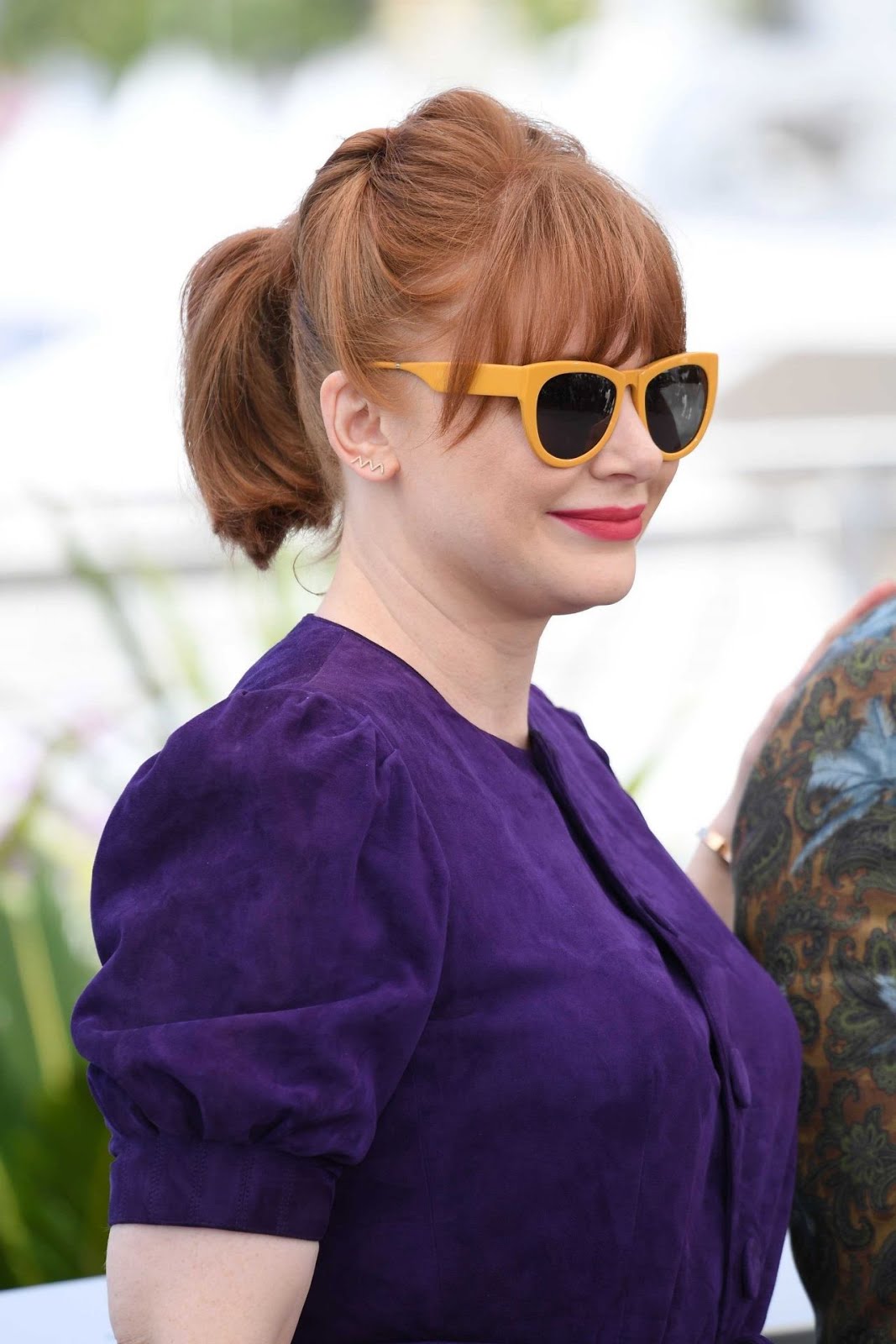 Big Boobs & Huge Booty actress Bryce Dallas Howard Full HD Wallpapers