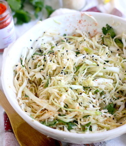asian Cabbage fennel coleslaw recipe