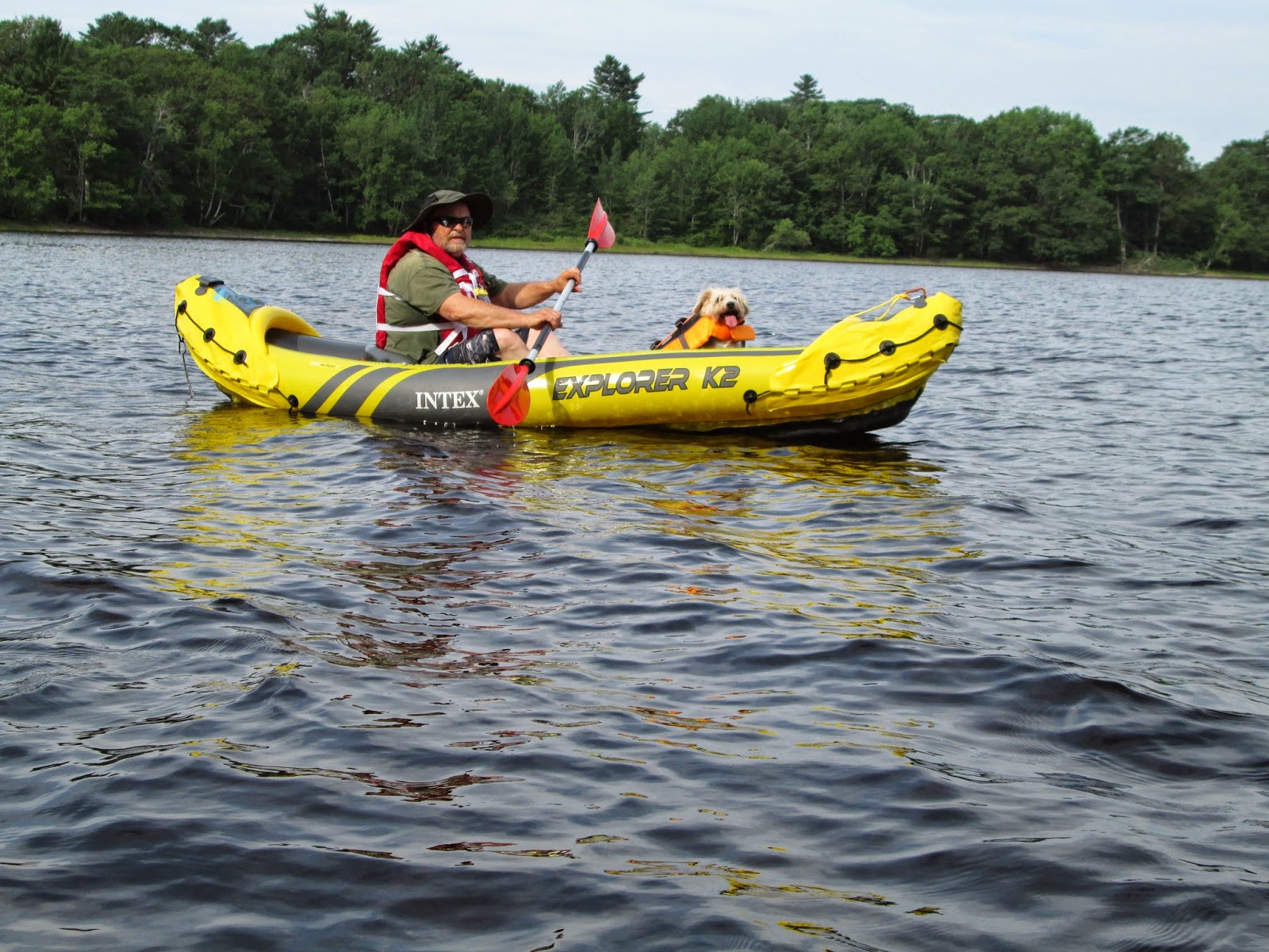 Kayaking MidCoast Maine and MORE Hard or Soft