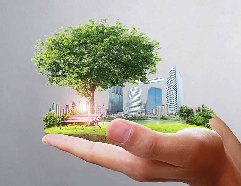 Sostenibilidad Temas Ambientales Ecológicos Y Sustentables